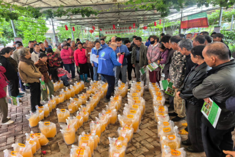 葡萄所在柳州市柳江区举办土壤健康养护赋能水果品质提升技术培训会