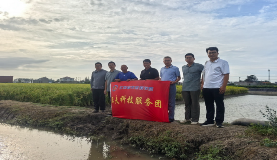 亚夫科技服务广陵庆丰工作站开展稻渔和罗氏沼虾生态健康养殖技术指导