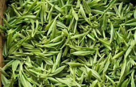 攀枝花市做强做优特色茶文章